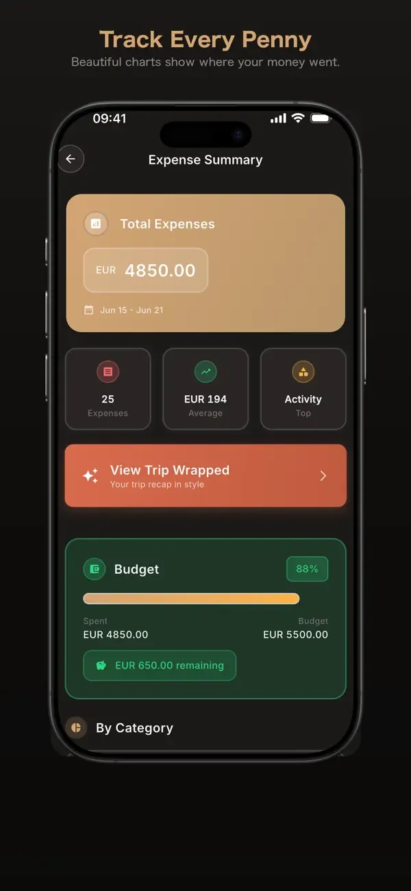 Group expense balance and settlement summary